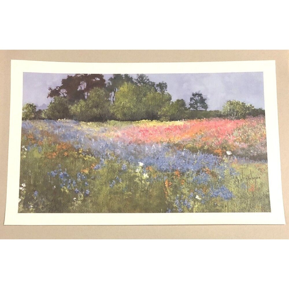 22"x14" Texas Wildflowers Landscape Art PRINT Signed & Numbered by OPAL PALMER